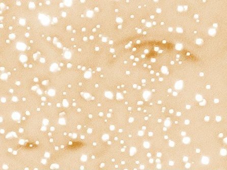 'Beautiful Things' is a string of little apocalypses