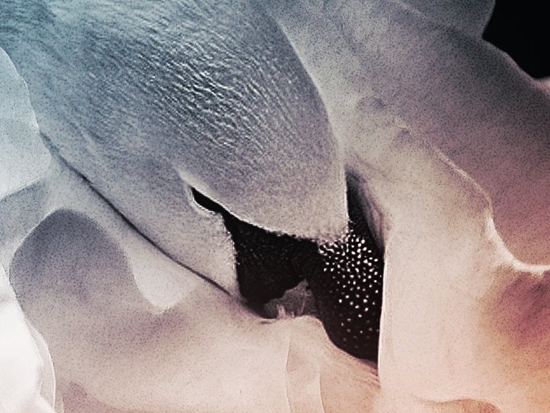 Light and dark, characters shine in 'Blanca & Roja'