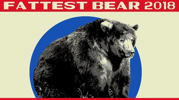 Bear 409 was named "Fattest Bear" at Katmai National Park and Preserve on Tuesday.