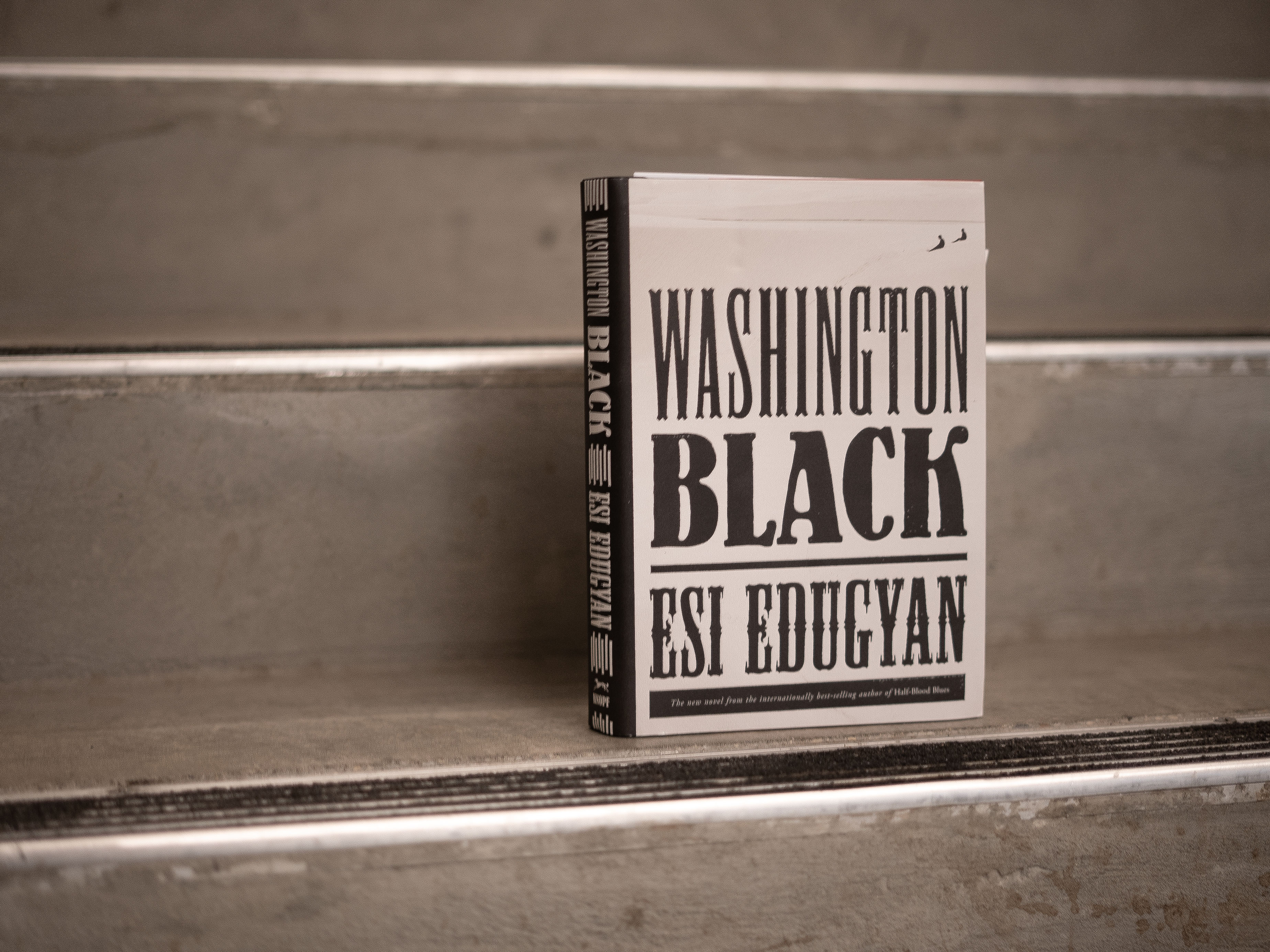'Washington Black' is a soaring tale of enslavement and escape