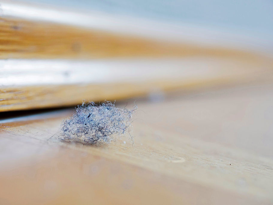 Grandma Was Right Sunshine Helps Kill Germs Indoors NCPR News