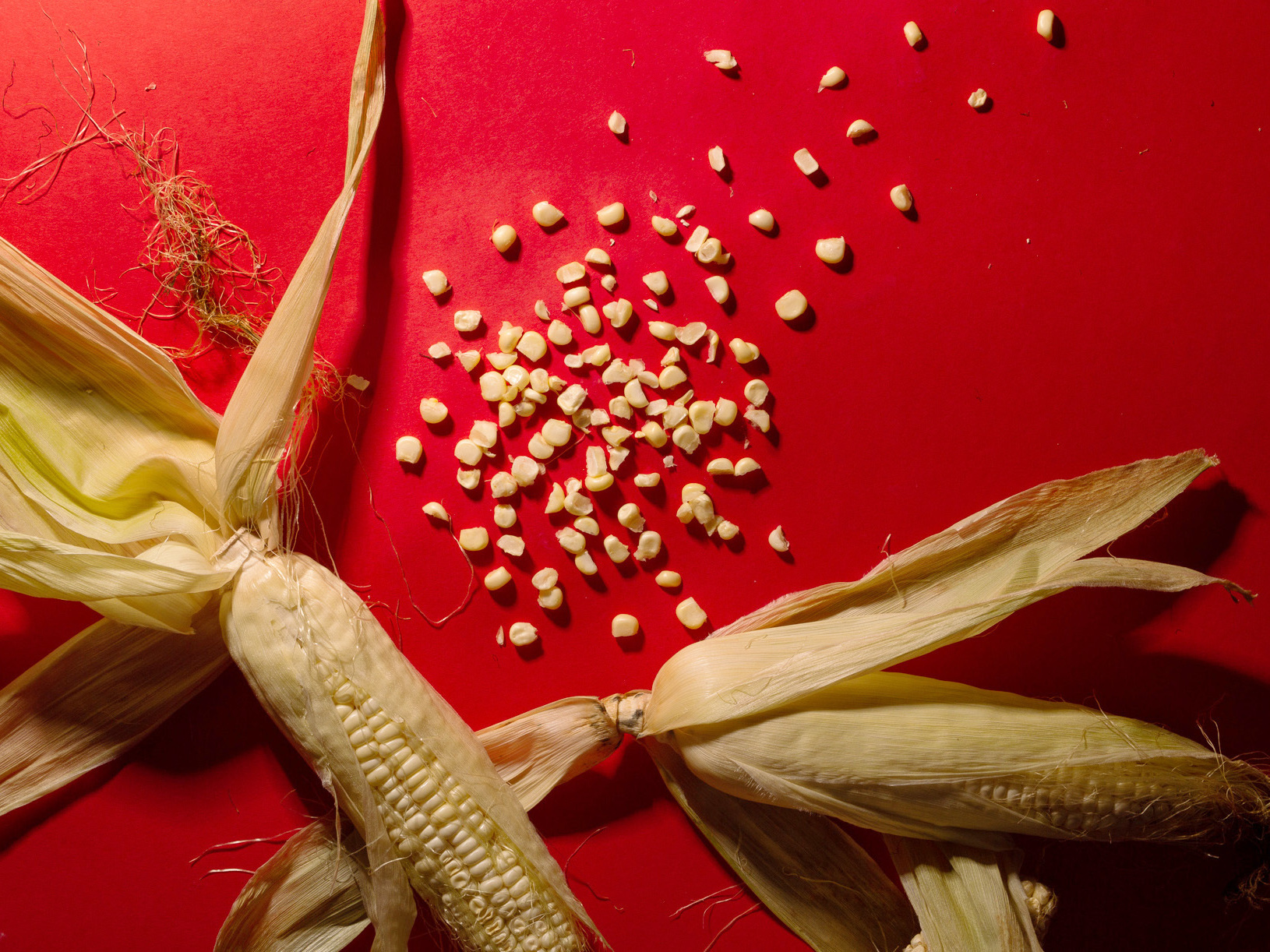 5 Major Crops In The Crosshairs Of Climate Change