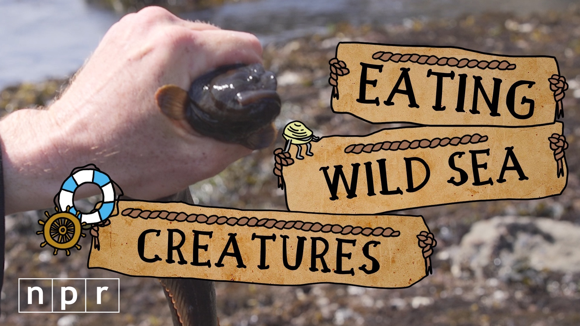 VIDEO: Watch The Sea Forager Sustainably Harvest The Ocean's Bounty