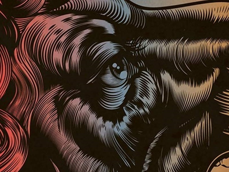 Fierce, spiky 'Friday Black' packs a big punch