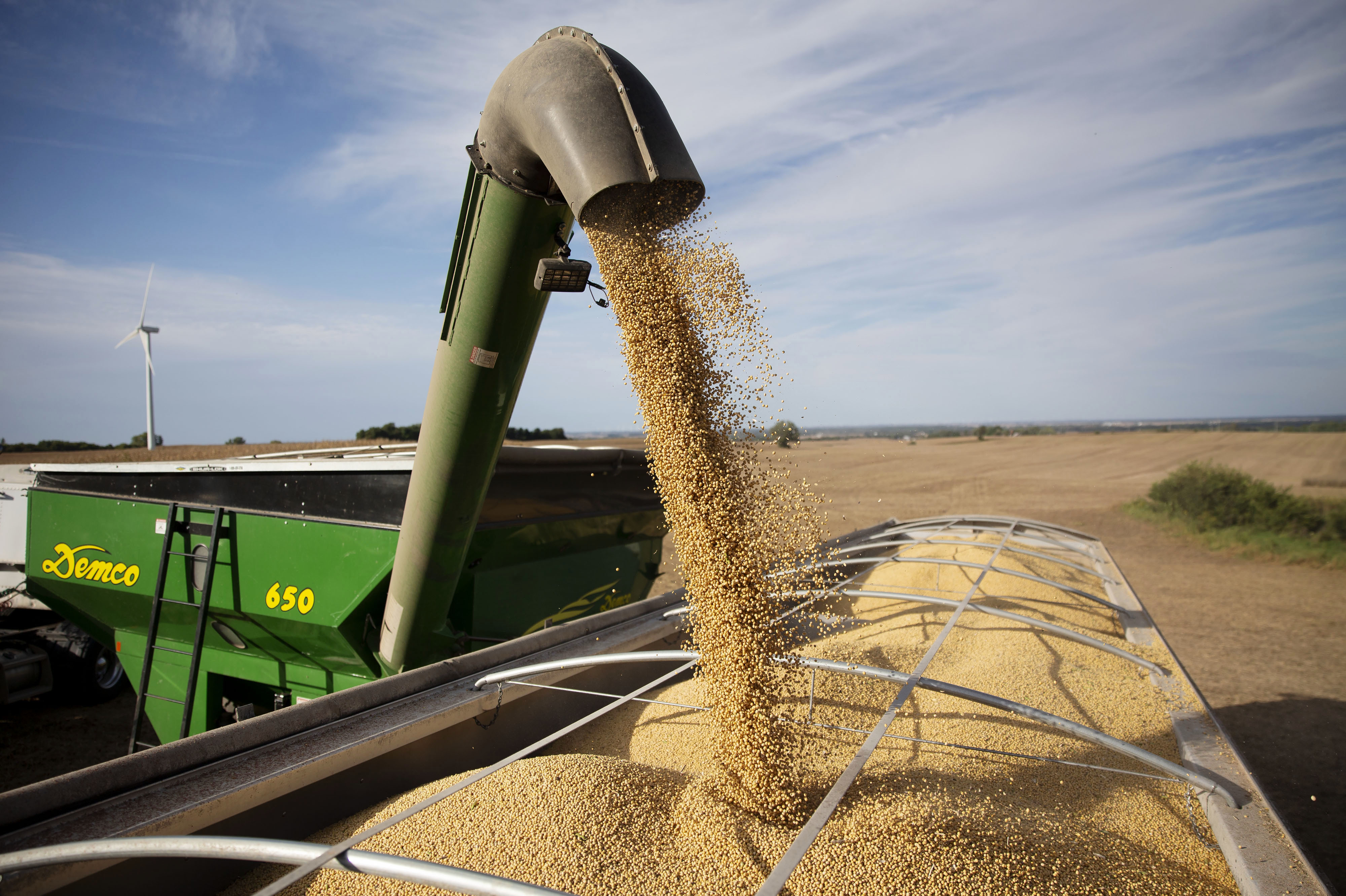 Soybeans are unloaded onto a truck in Tiskilwa, Ill. (Daniel Acker/Getty Images)
