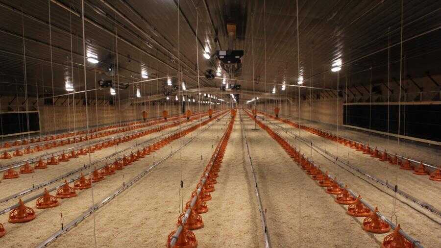 The first set of barns that eventually will supply chickens for the Costco project was recently completed near the town of Hooper, Neb. Approximately 20,000 breeding hens will be raised here.