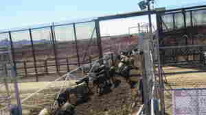 #875: Why Did The Cow Cross The Border?