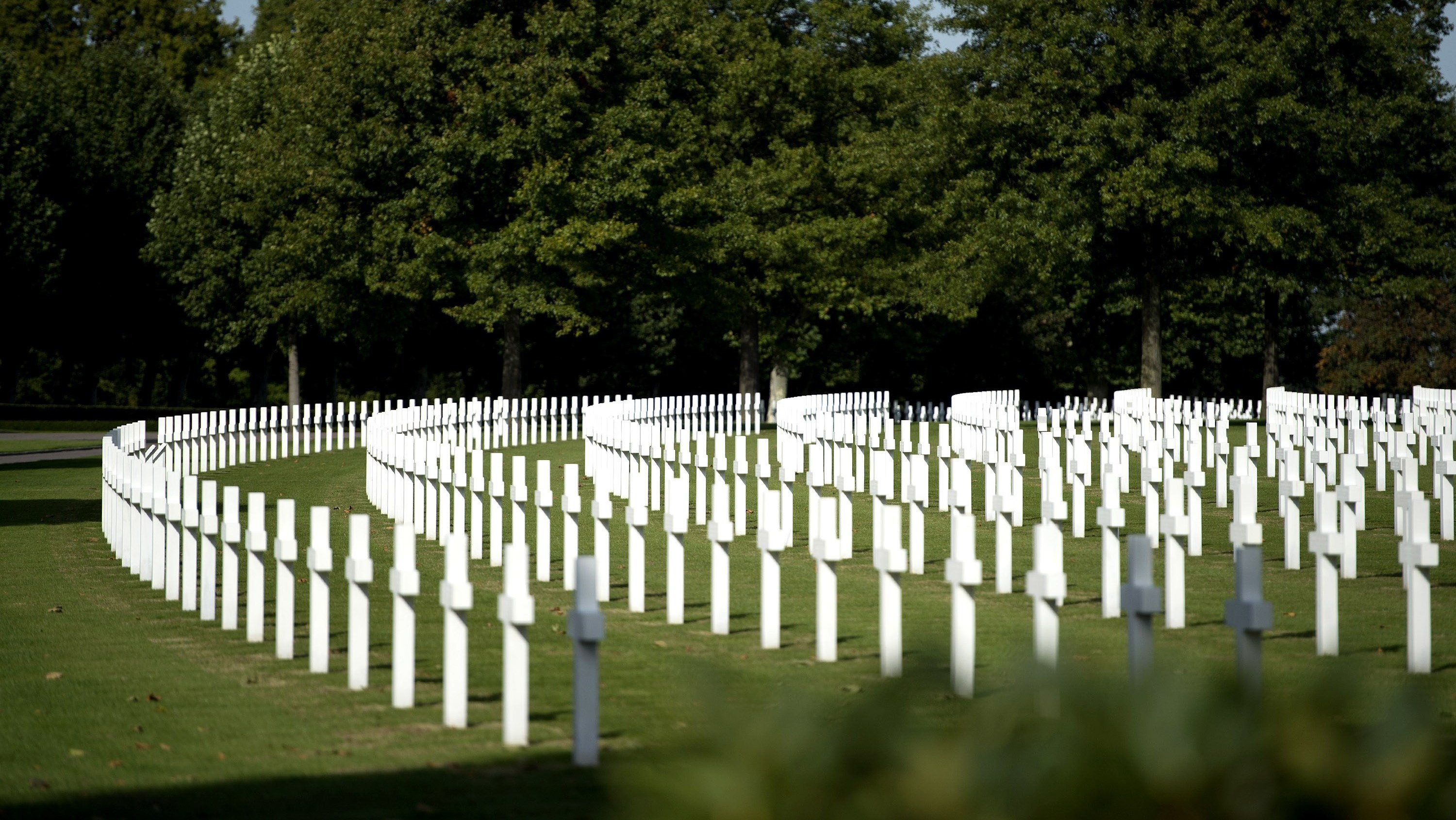 The American Military cemetery in Margraten, Netherlands, where David McGhee's grandfather, Sgt. Willie F. Williams, is buried. (AFP/Getty Images)