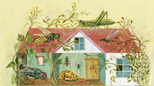 Counting the bugs and bacteria, you're 'Never Home Alone' (and that's OK)