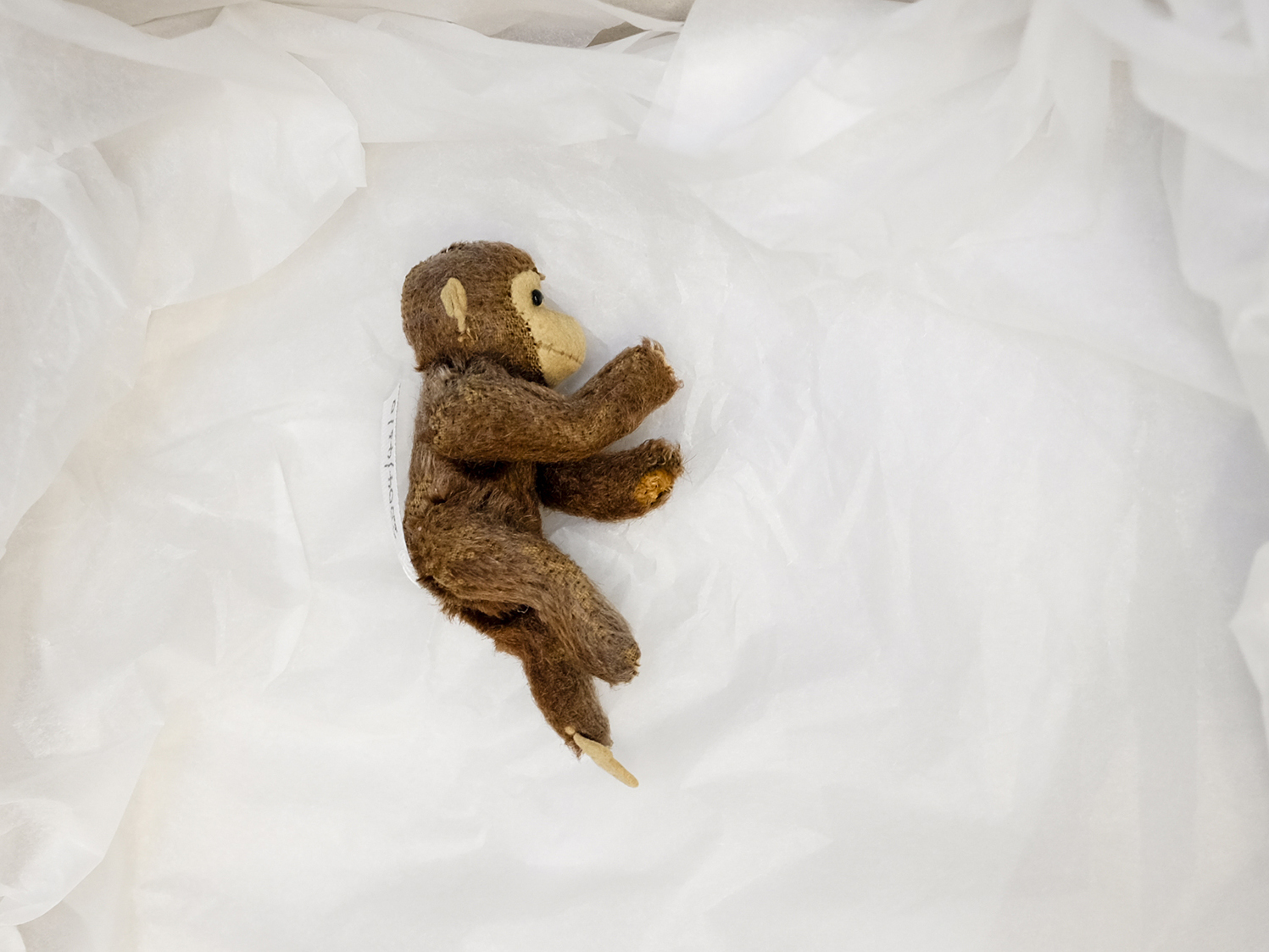 Gert Berliner's toy monkey has traveled far and wide: from Berlin to Sweden, with long periods in New York and stints in Italy and New Mexico before finally winding up in Berlin again. (Jacobia Dahm for NPR)