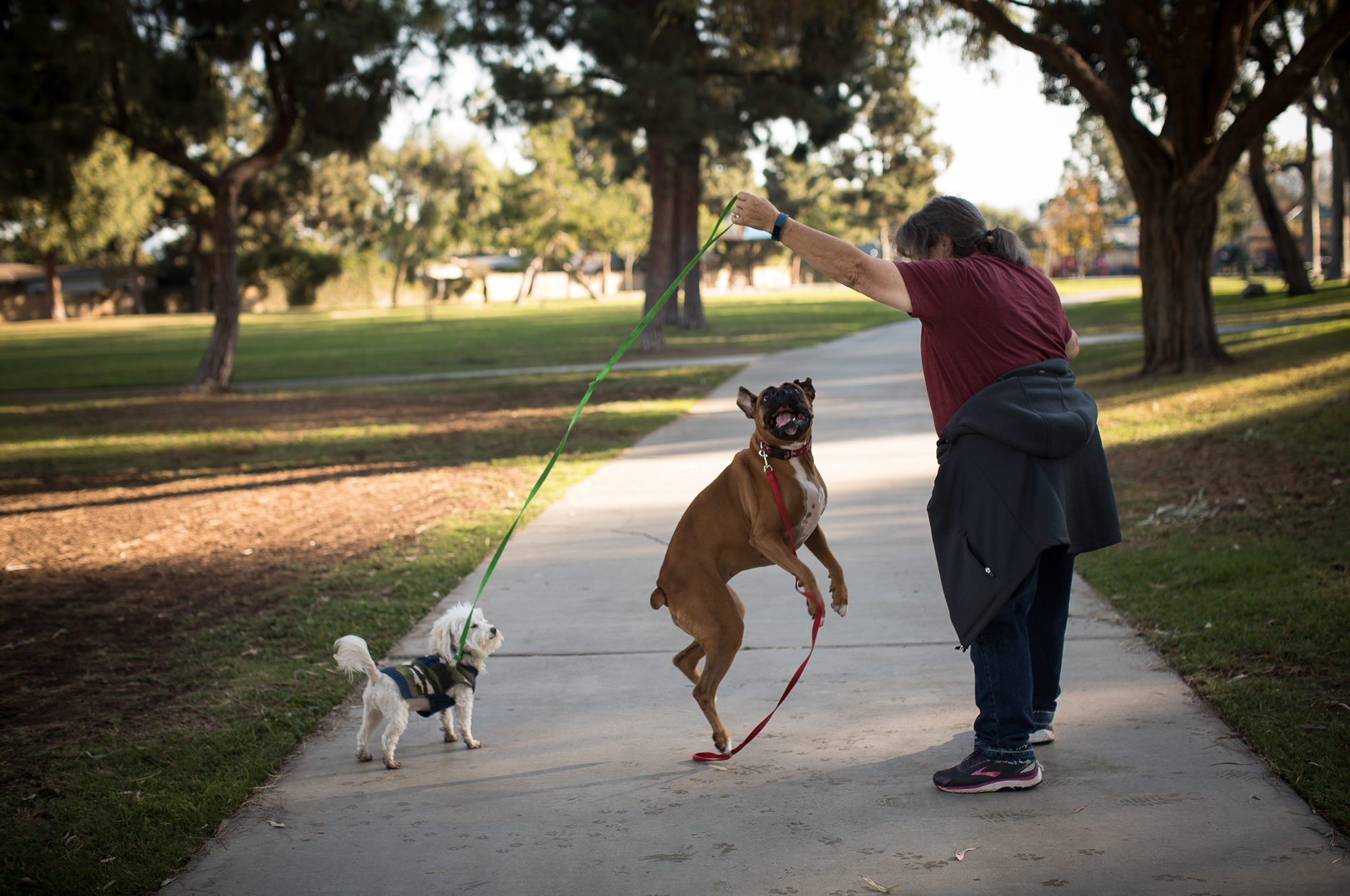 Kathy Klute-Nelson walks through her neighborhood with her dogs in Costa Mesa, Calif. She was offered $300 off her yearly health insurance premiums if she committed to walking every day. (Morgan Walker for NPR)