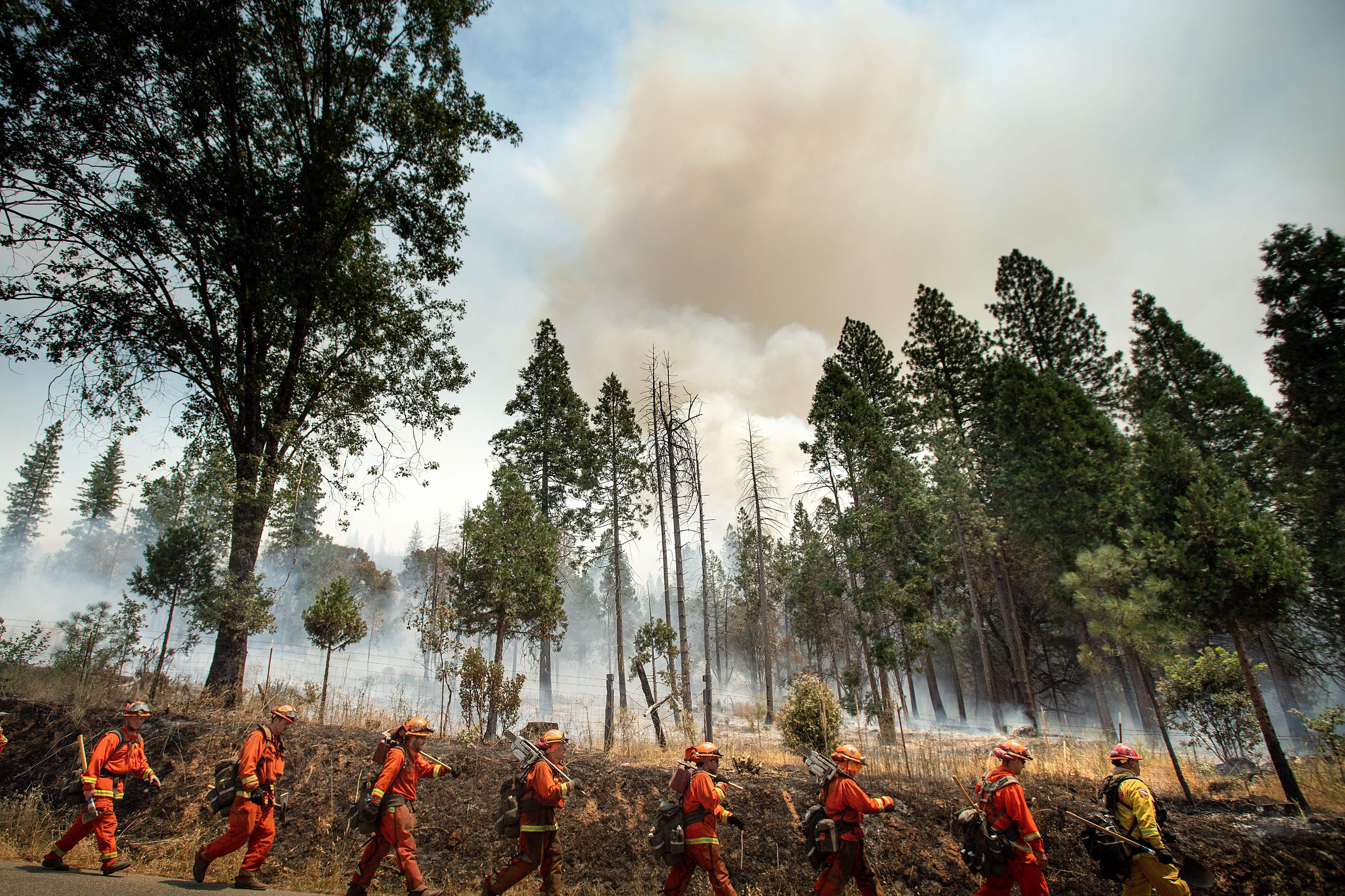 Inmate firefighters battle a California wildfire in July. Qualified inmates can volunteer to be trained in firefighting; in exchange, they are paid $2 a day and an extra $1 per hour when fighting fires. The inmate firefighters also receive sentence reductions. (AFP/Getty Images)