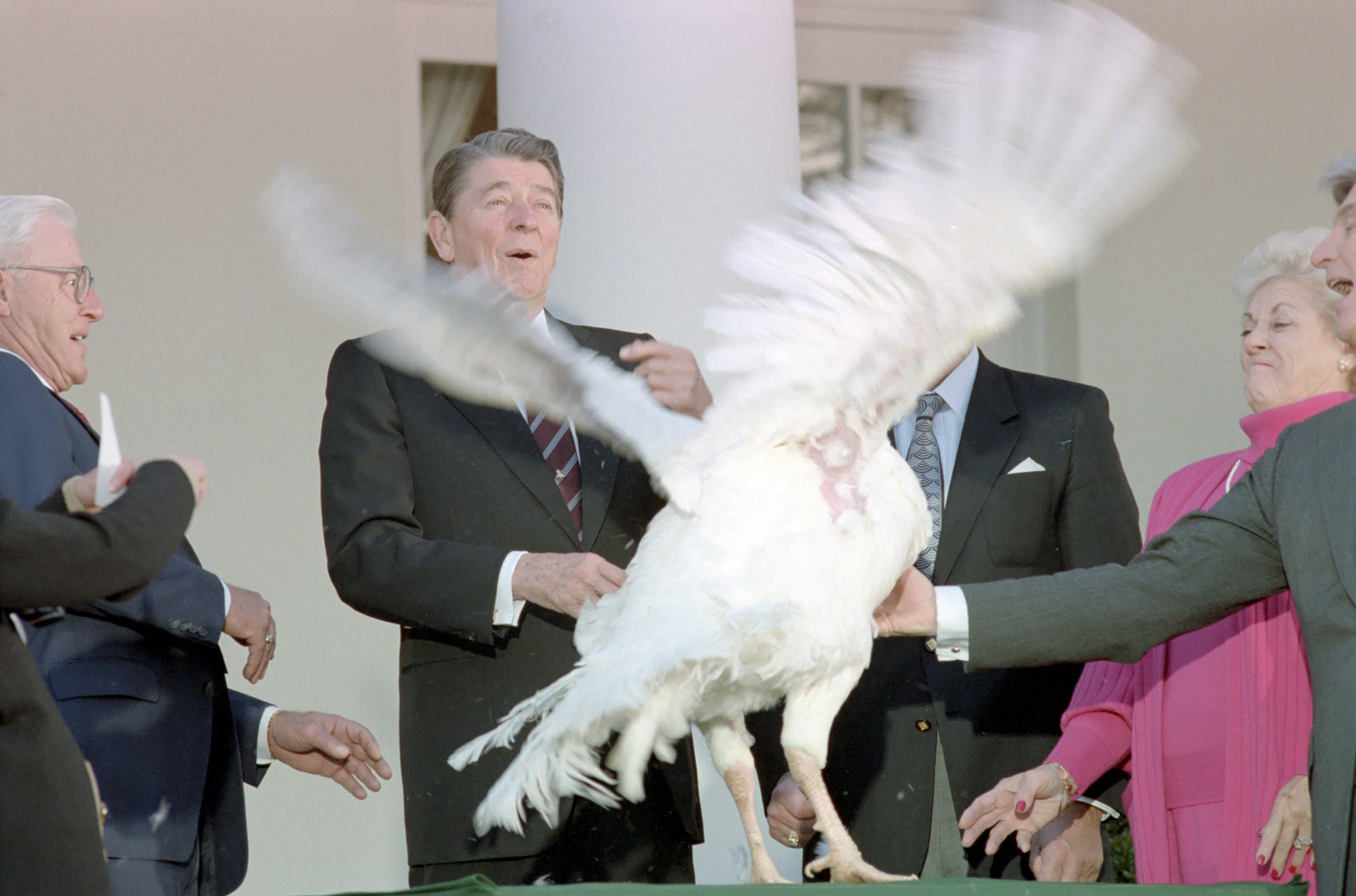 This turkey seemed to be in a fowl mood in 1987 when President Ronald Reagan used the word &quot;pardon&quot; for the first time in reference to sparing a Thanksgiving turkey. (Getty Images)