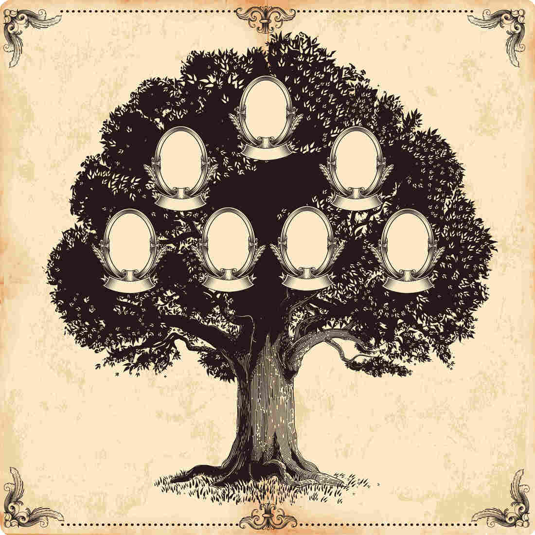 All families have histories.