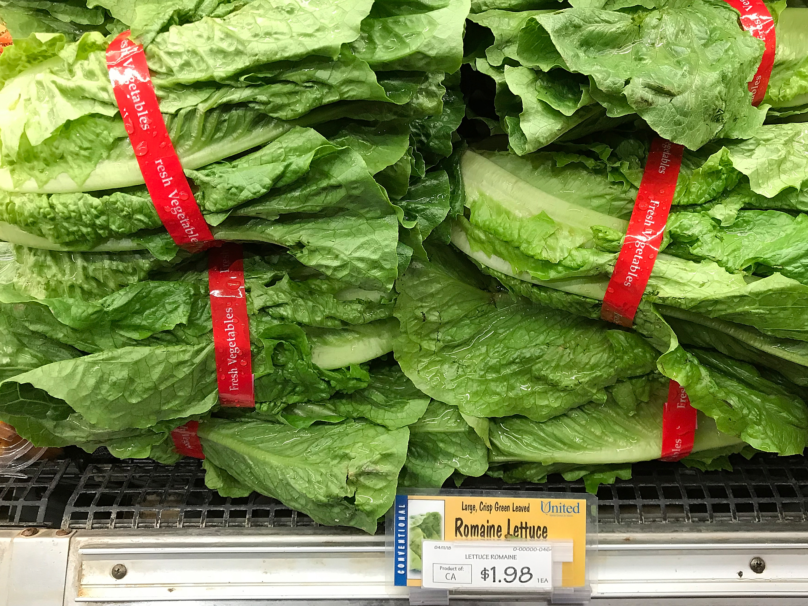 Beware The Thanksgiving Salad: CDC Says No Romaine Lettuce Is Safe