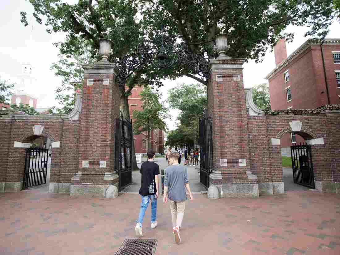 CAMBRIDGE, MA - AUGUST 30: Pedestrians walk into the Harvard Yard at Harvard University on August 30, 2018 in Cambridge, Massachusetts. The U.S. Justice Department sided with Asian-Americans suing Harvard over admissions policy. (Photo by Scott Eisen/Getty Images)