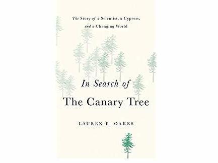 'In Search of the Canary Tree' highlights the links between nature, climate and us