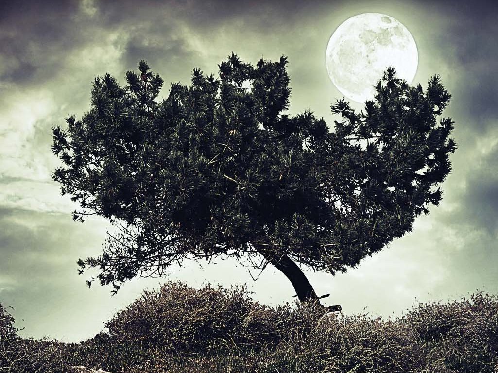 'Broken Ground' balances location, character and props in perfect proportion