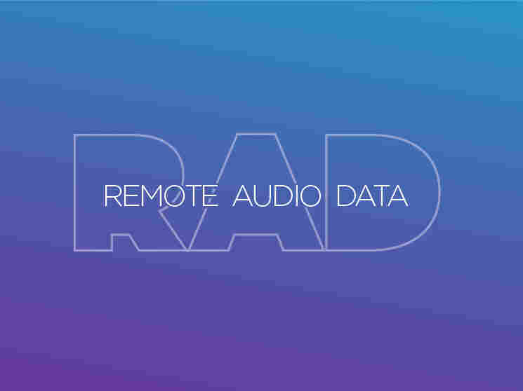 Remote Audio Data logo