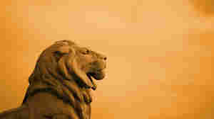 Courage
