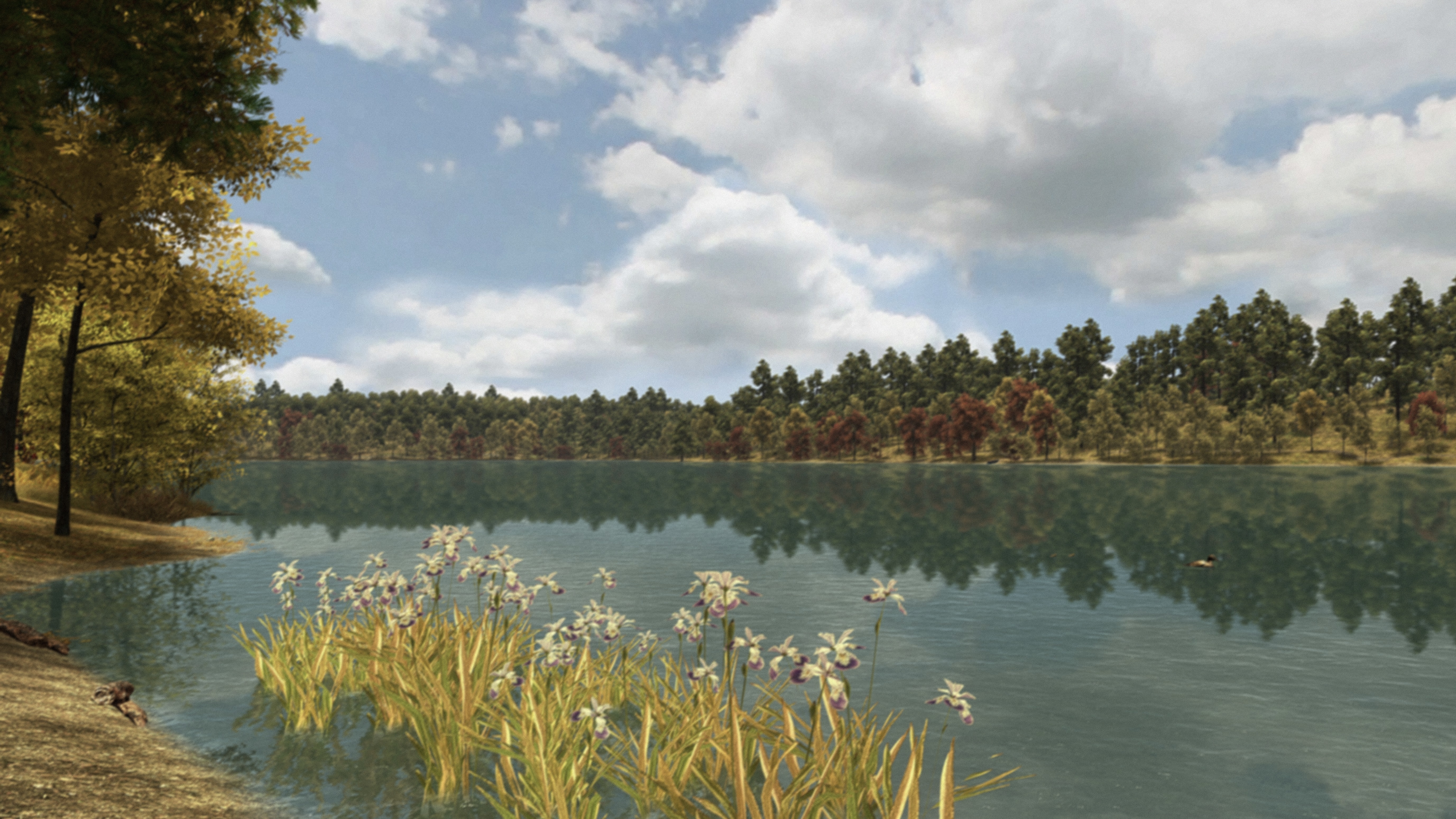 Blue flag blooming along Walden Pond in early fall. (Screenshot courtesy of USC Game Innovation Lab)