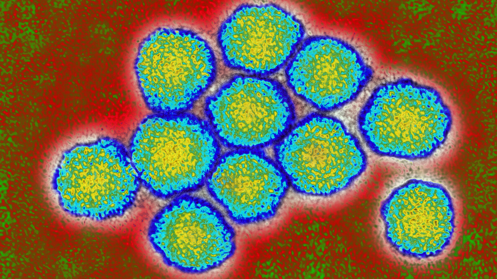 hep c
