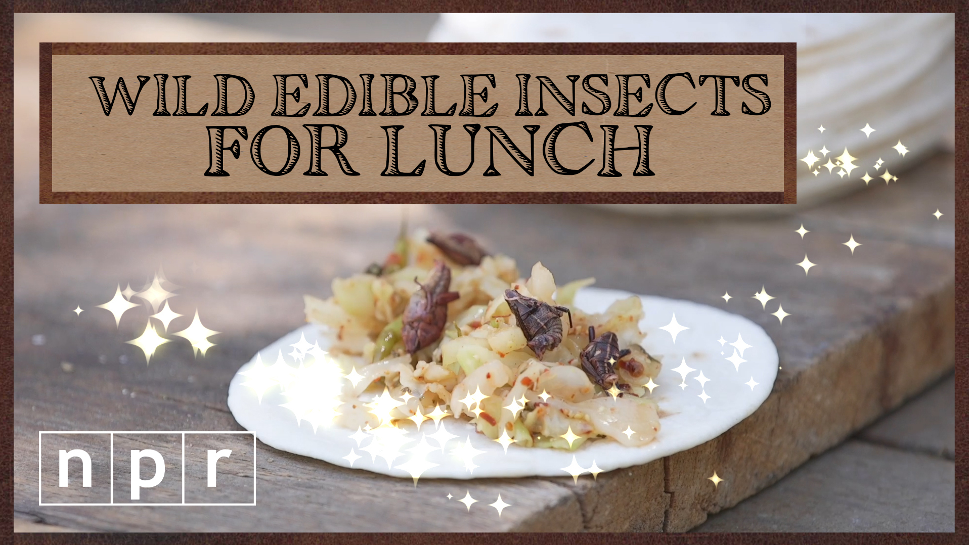 VIDEO: 4 Ways That Wild Edibles, Including Insects, Will Wow You