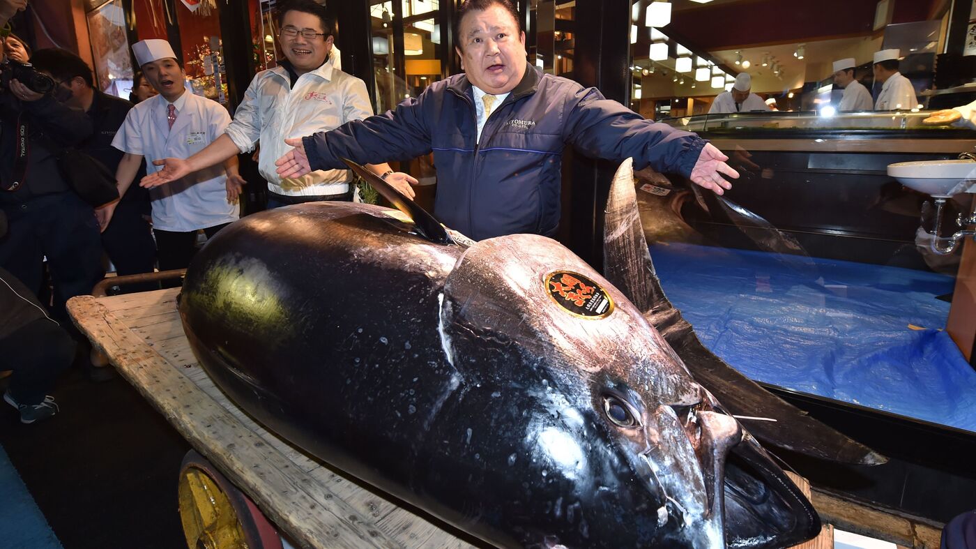 Threatened Bluefin Tuna Sells For $3 Million In Tokyo Market : NPR