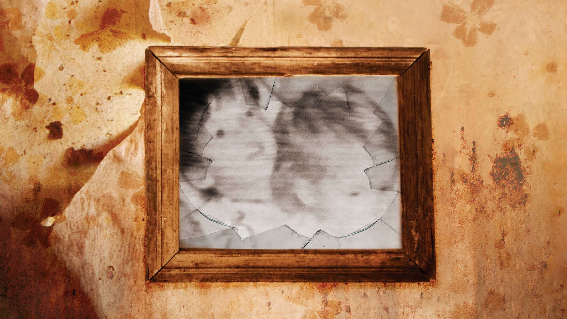 Burned by Edward Humes