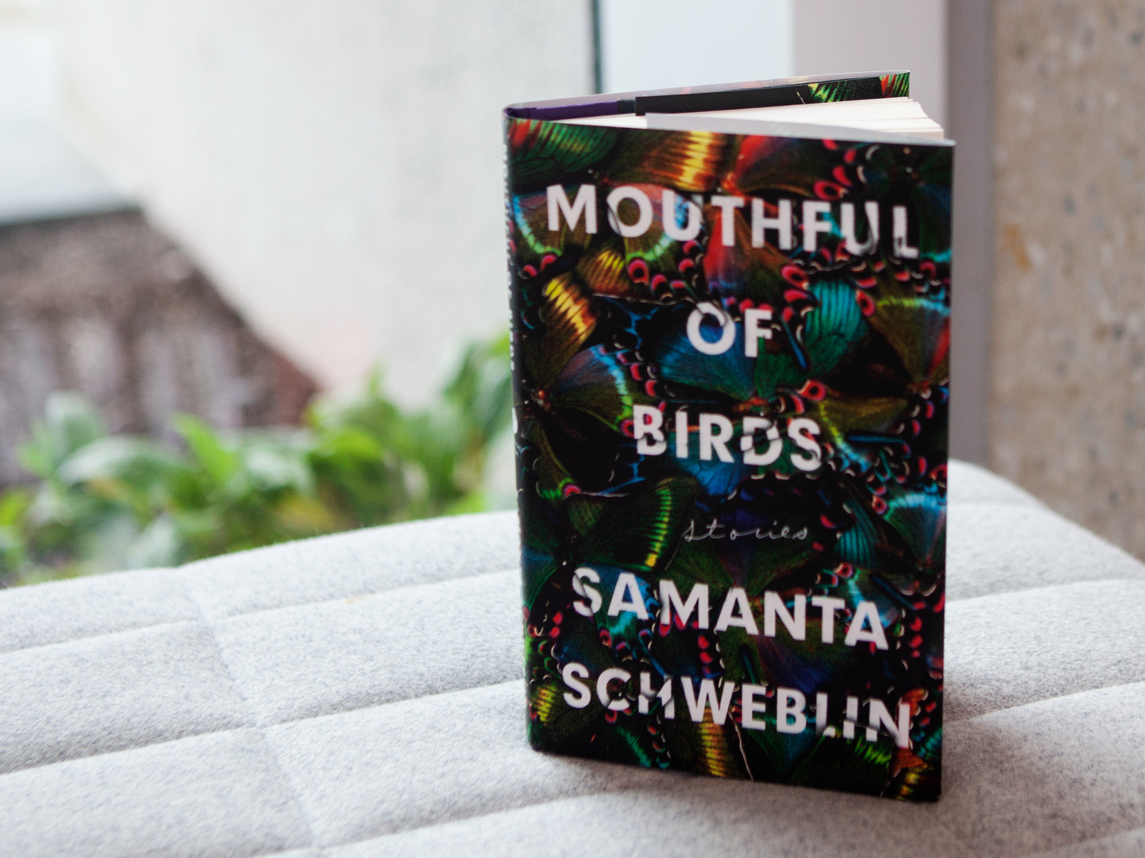 Existential dread is deceptively simple in 'Mouthful of Birds'