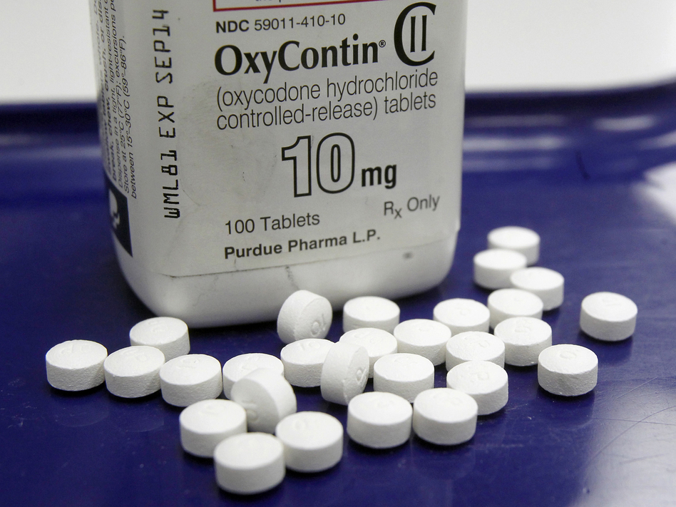 A filing by Massachusetts Attorney General Maura Healey detailed the Sackler family's role in Purdue Pharma's marketing of OxyContin. (Toby Talbot/AP)