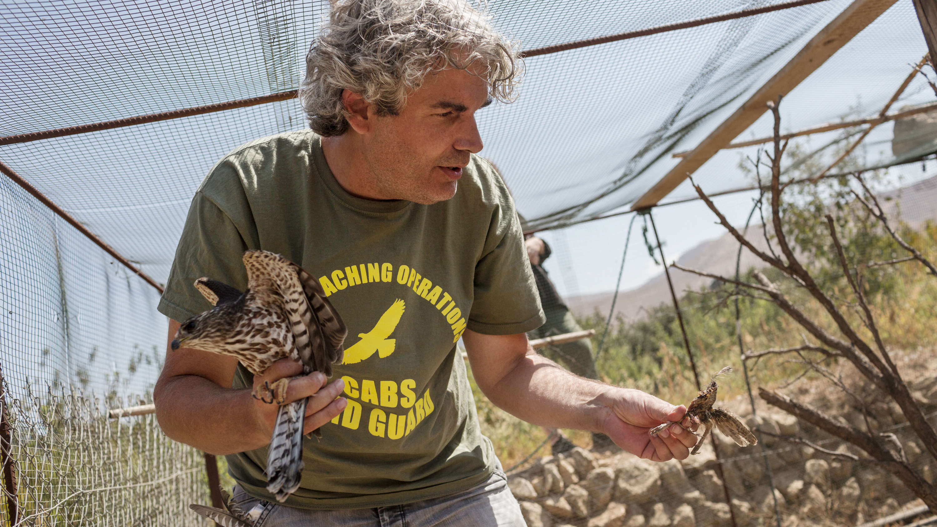 Axel Hirschfeld looks at the remains of dead birds while holding a Levant sparrowhawk. The bird was found locked in a small enclosure without food or water in a field used by poachers in the town of Ras Baalbek, Lebanon, in September.