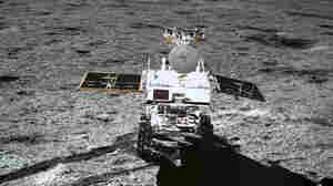 China Tried To Grow Cotton On The Moon, But It Didn't Work