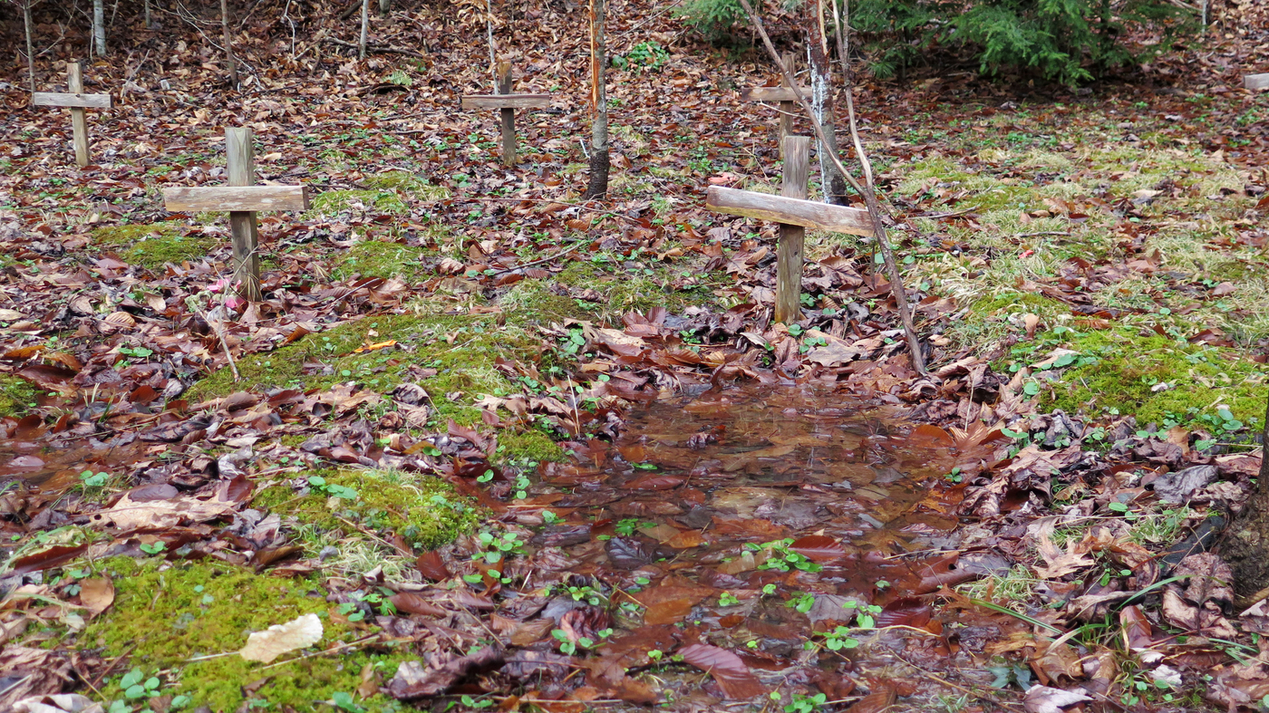 Before Black Lung, The Hawks Nest Tunnel Disaster Killed Hundreds NPR