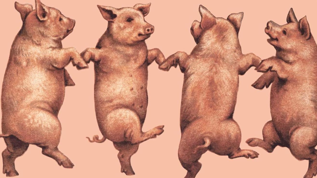 Interview Amanda Sthers On 'Holy Lands,' Reconciliation And Israeli