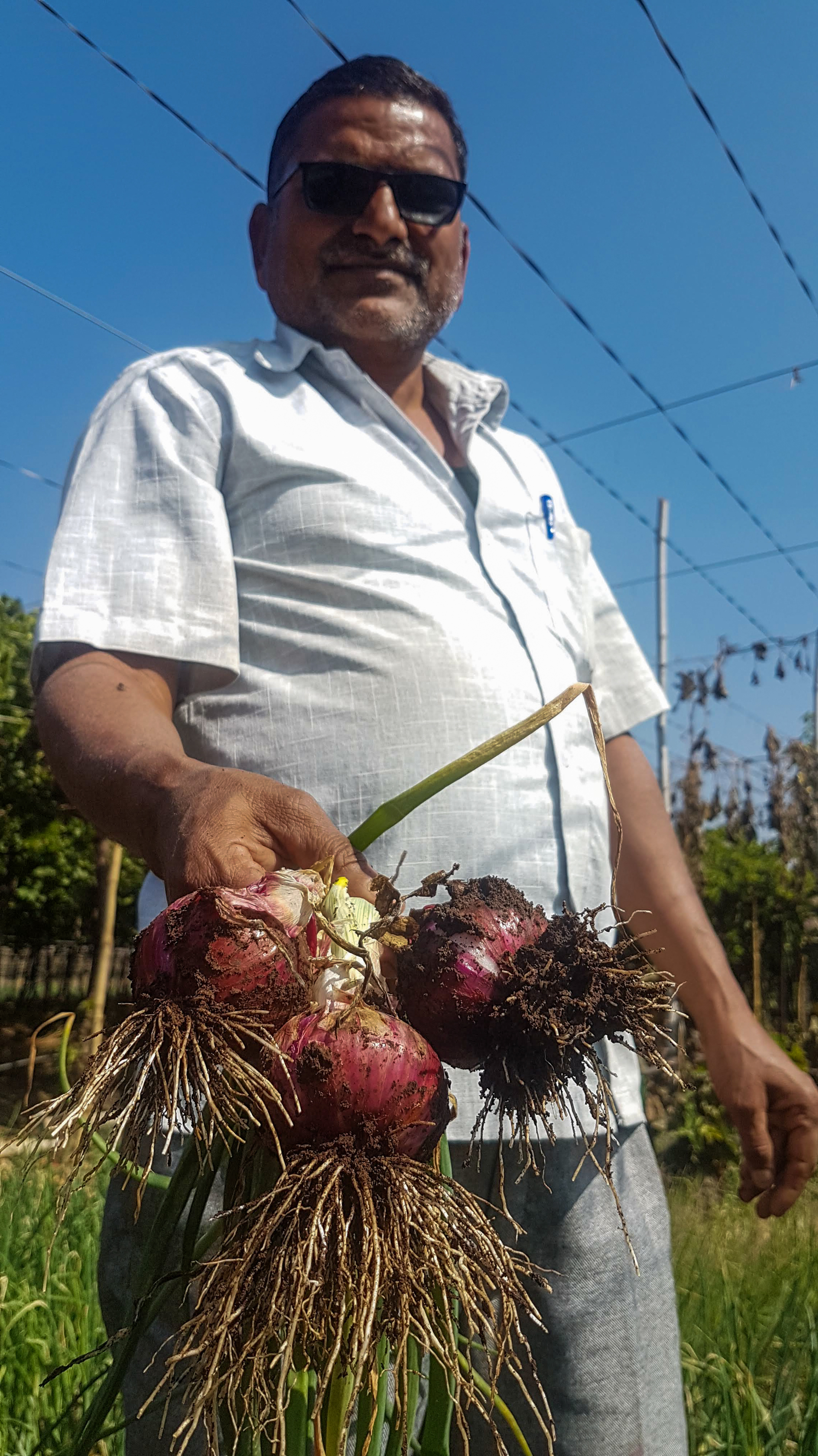 'I Rue The Day We Ever Became Farmers' In Rural India, A Struggle To
