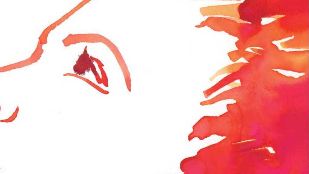 The Falconer, by Dana Czapnik