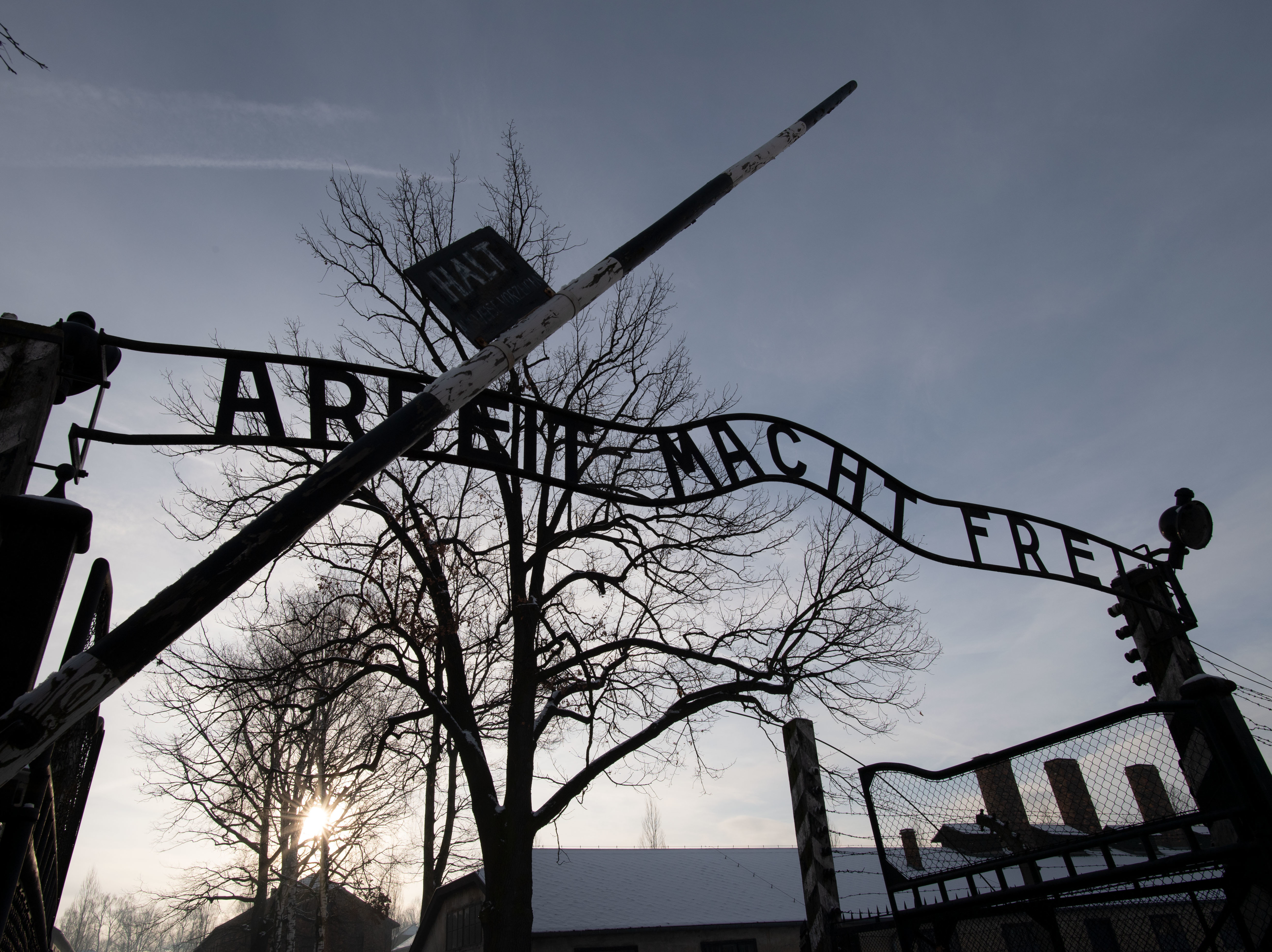 Holocaust survivors visited the former Auschwitz concentration camp on International Holocaust Remembrance Day.