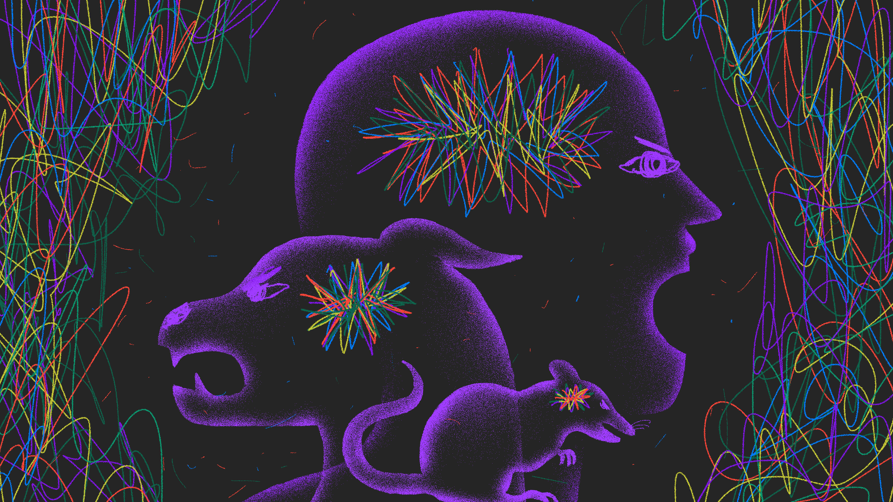  (Ariel Davis for NPR)