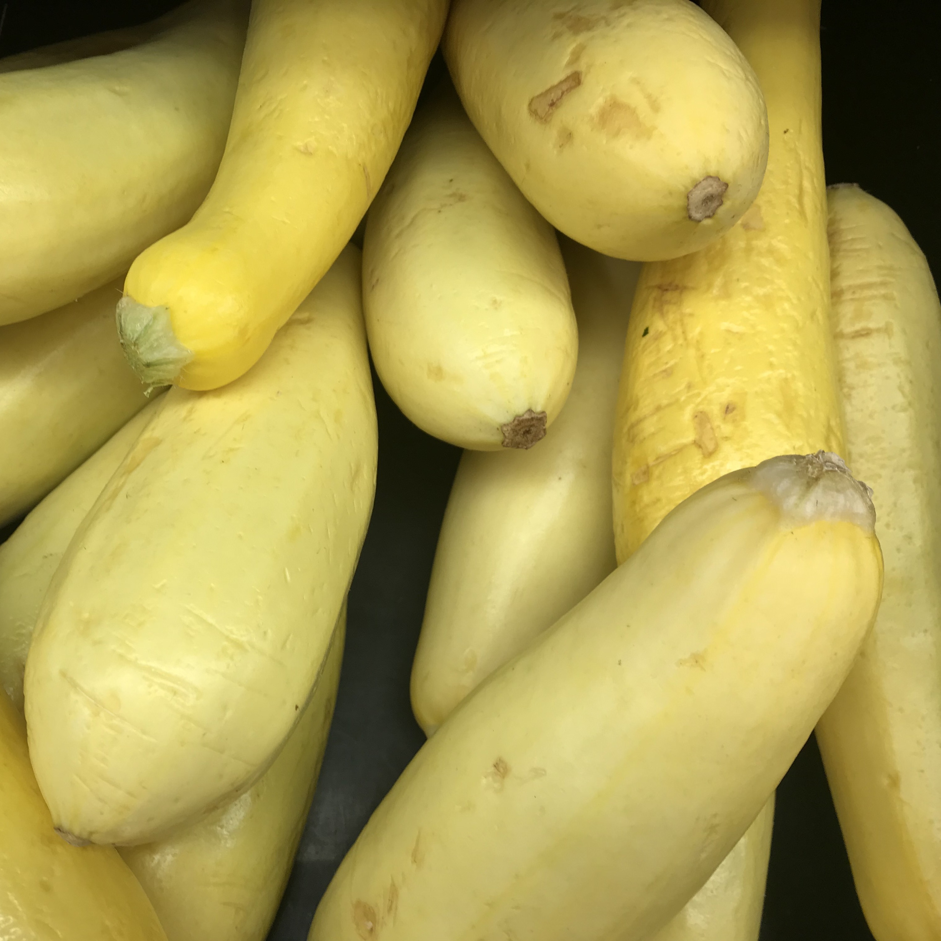 Ihmisillä, jotka ovat voimakkaasti GMO: ita vastaan, oli herkempi käsitys ruokatieteestä, tutkimuksen tuloksista