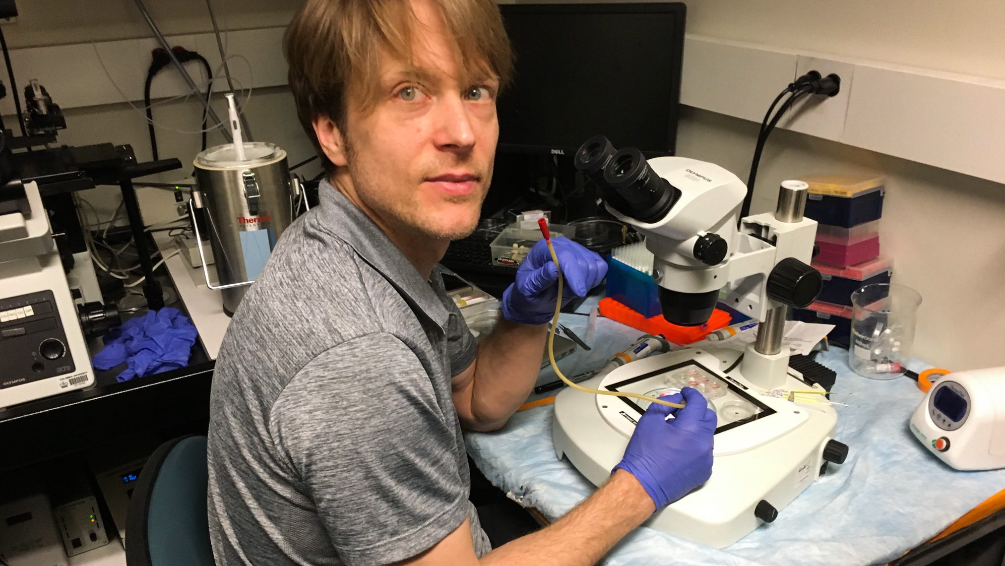 CRISPR And Human Embryo Experiments Underway In The U.S. : Shots