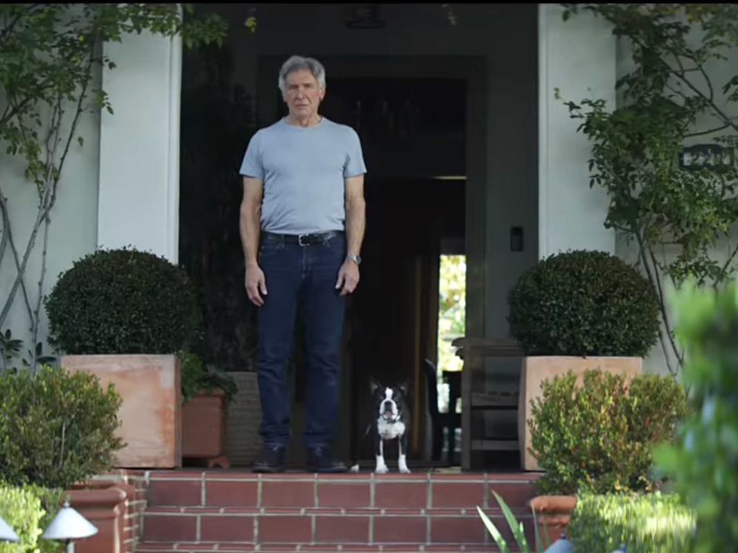 Super Bowl Ads 2019: Stunts, Self-Deprecation And Celebrity Sightings
