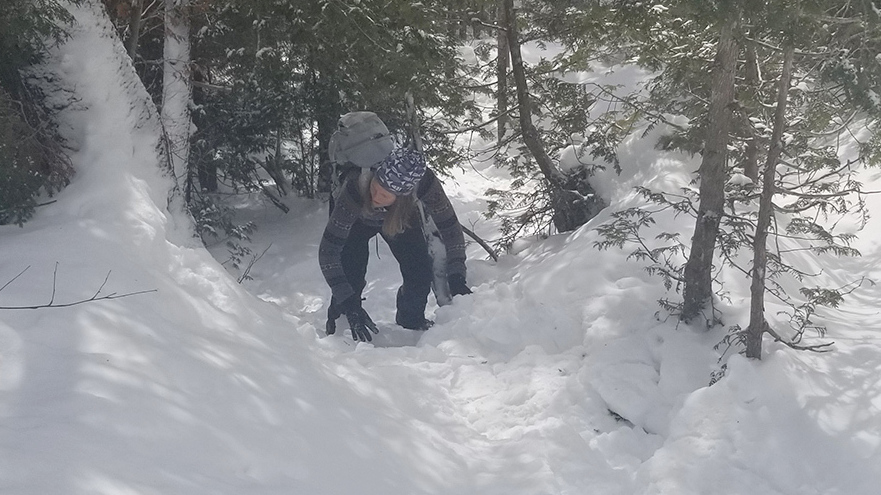 Winter Joy: Breaking Trail In 15 Degrees : NPR