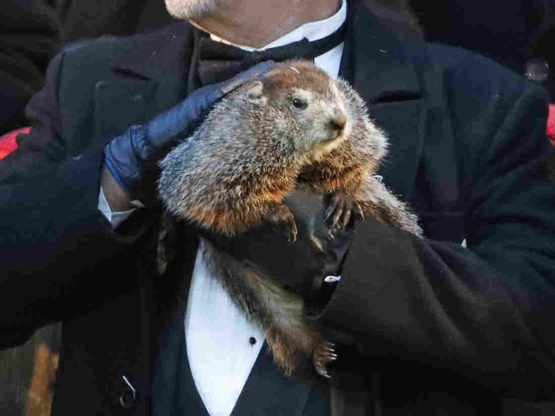 Groundhog Day: Punxsutawney Phil Predicts Early Spring