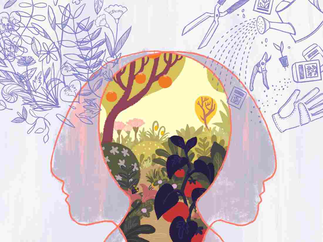 Illustration of the left and right hemispheres of the brain