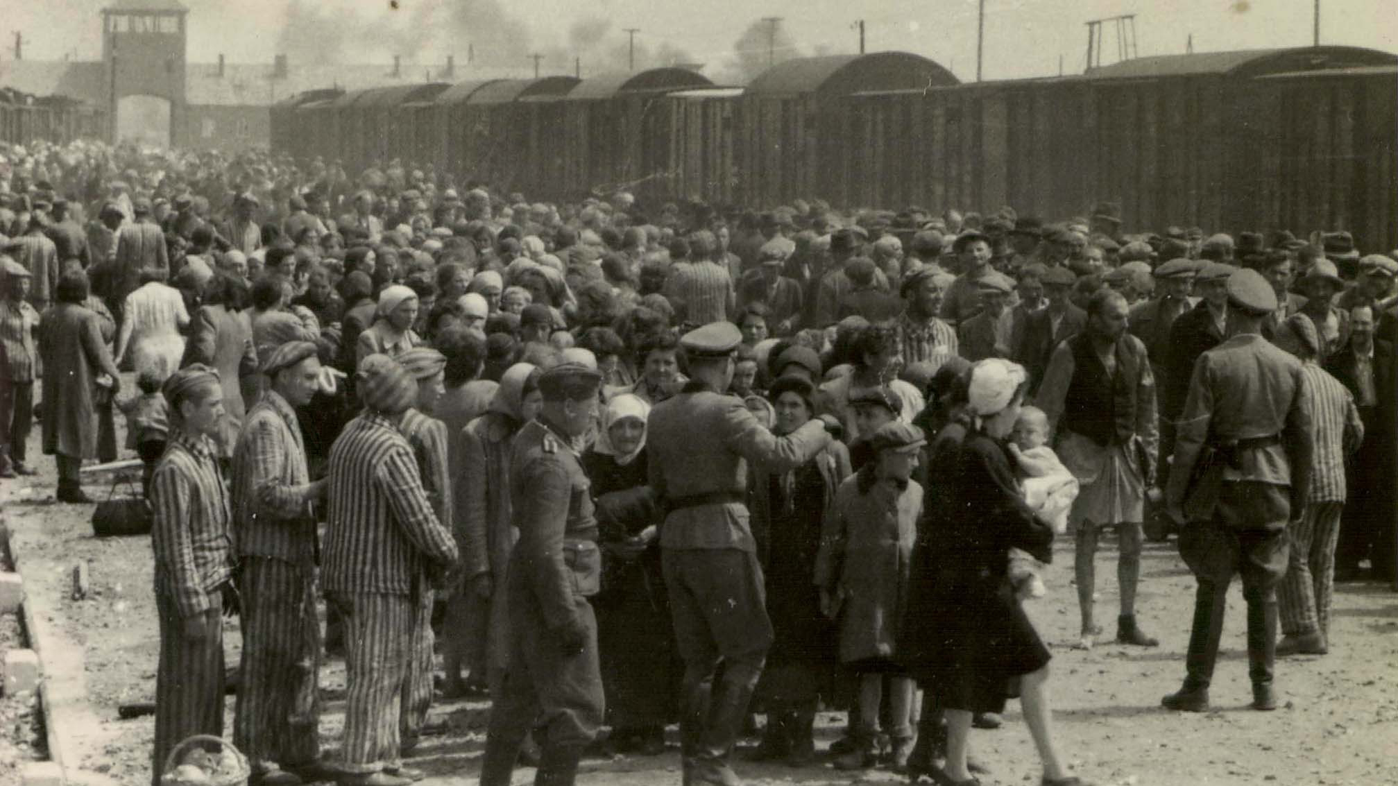 45+ Ne long night a global history of concentration camps Checklist