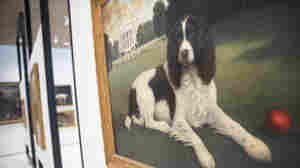Dogs Have Their Day: AKC Dog Museum Opens In New York City