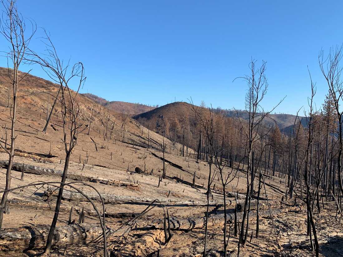 Paradise resident helping town rebuild 5 years after deadly Camp Fire