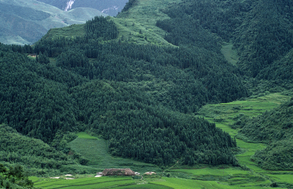 A landscape with a reforestation project in Gongxian County in Sichuan, China. (Eye Ubiquitous/UIG via Getty Images)