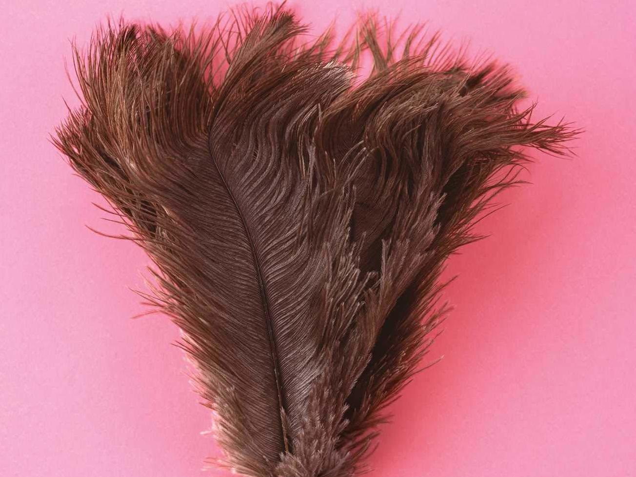 'Vacuum in the Dark' is fun, funny -- but never frivolous